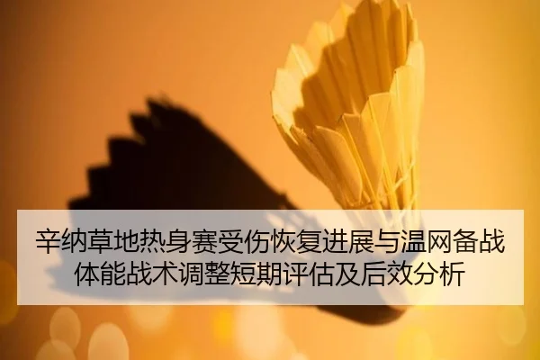 辛纳草地热身赛受伤恢复进展与温网备战体能战术调整短期评估及后效分析